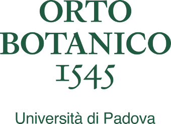 orto-logo-340.png