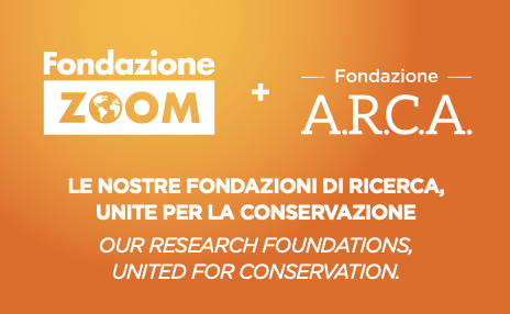 PROGETTO DI FUSIONE FONDAZIONE ZOOM ETS E A.R.C.A ETS
